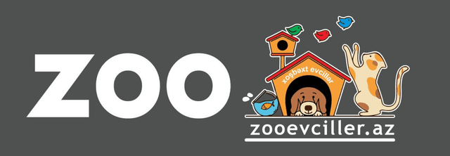 Zooevciller.az
