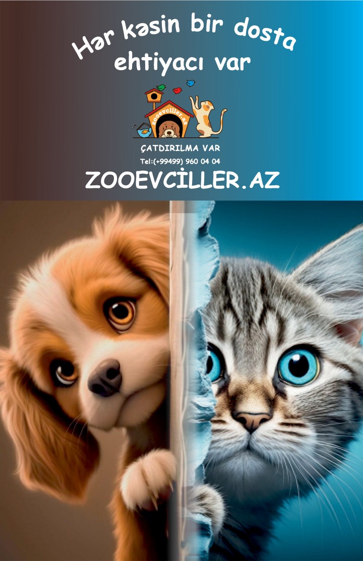 zooevciller