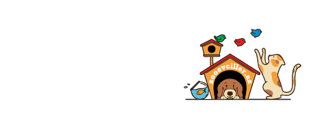 ZOO Evcillər - Xoşbəxt Evcillər